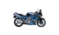 Kawasaki ZZR600 Fairings