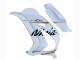 2016-2020 Kawasaki ZX10R Motorcycle Fairings - White Gold Black