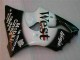 2000-2002 Black West Ninja Kawasaki ZX6R Motorcycle Fairings Kits 2000-2002 Black West Ninja Kawasaki ZX6R Motorcycle Fairings Kits