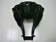 2011-2015 Glossy Black Kawasaki ZX10R Moto Fairings