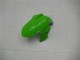 2013-2016 Green Black Silver Kawasaki EX300 Moto Fairings 2013-2016 Green Black Silver Kawasaki EX300 Moto Fairings
